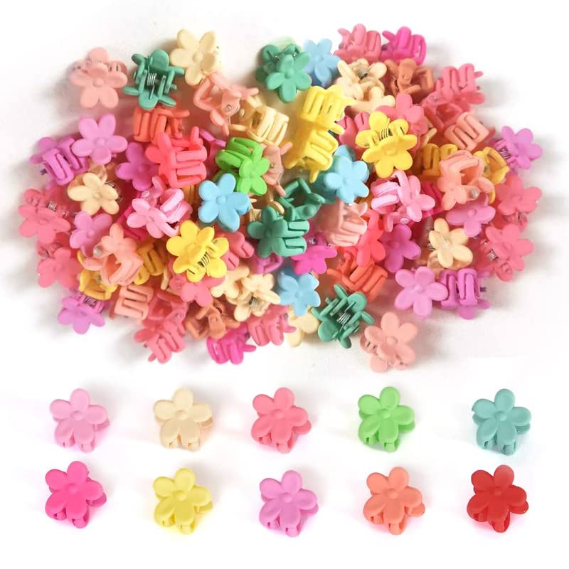 RECTYO GALLERY Mini Hair Claw Clips for Girls - 20 Pcs Cute Flower Hair Clips with Storage Box, Plastic Non-Slip Small Jaw Clips for Baby Toddler Kids (Colorful) - Perfect for School, Parties, and Everyday Hairstyles