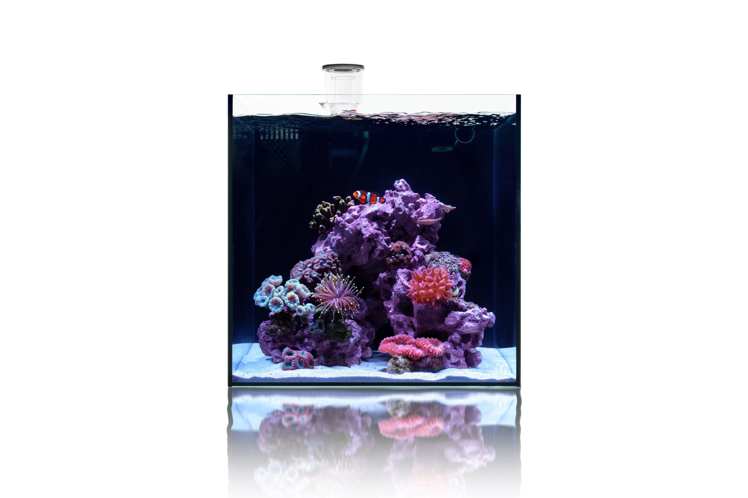 Premium UNS Dual All-in-One Glass Aquarium Tank - 5 Gallon Nano Fish Tank with Built-in Filtration System - Perfect for Home, Office, or Classroom Aquascaping and Small Fish Keeping