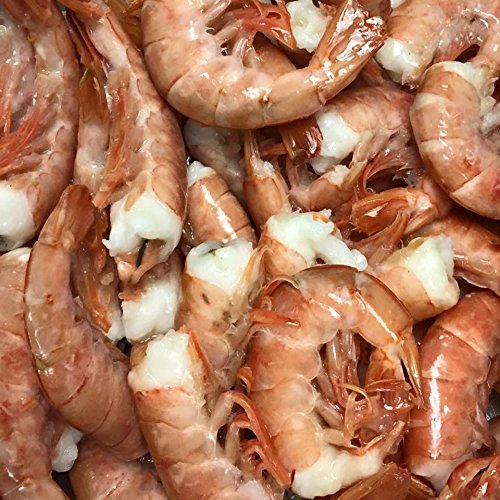 **Key West Pink Shrimp 5Lbs – Jumbo Wild Caught 16-20 Count – Fresh Florida Seafood – Perfect for Grilling, Pasta & Seafood Boils**