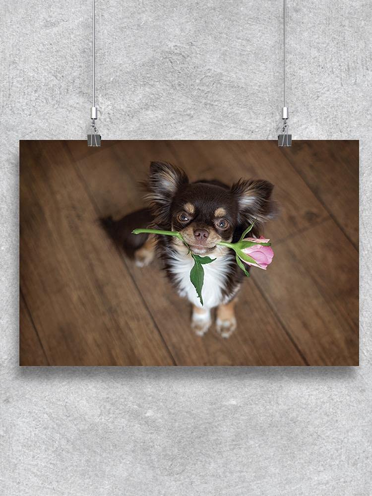 Smartprints Chihuahua Dog Holding a Rose Poster - Cute Pet Wall Art for Living Room, Bedroom & Office Decor