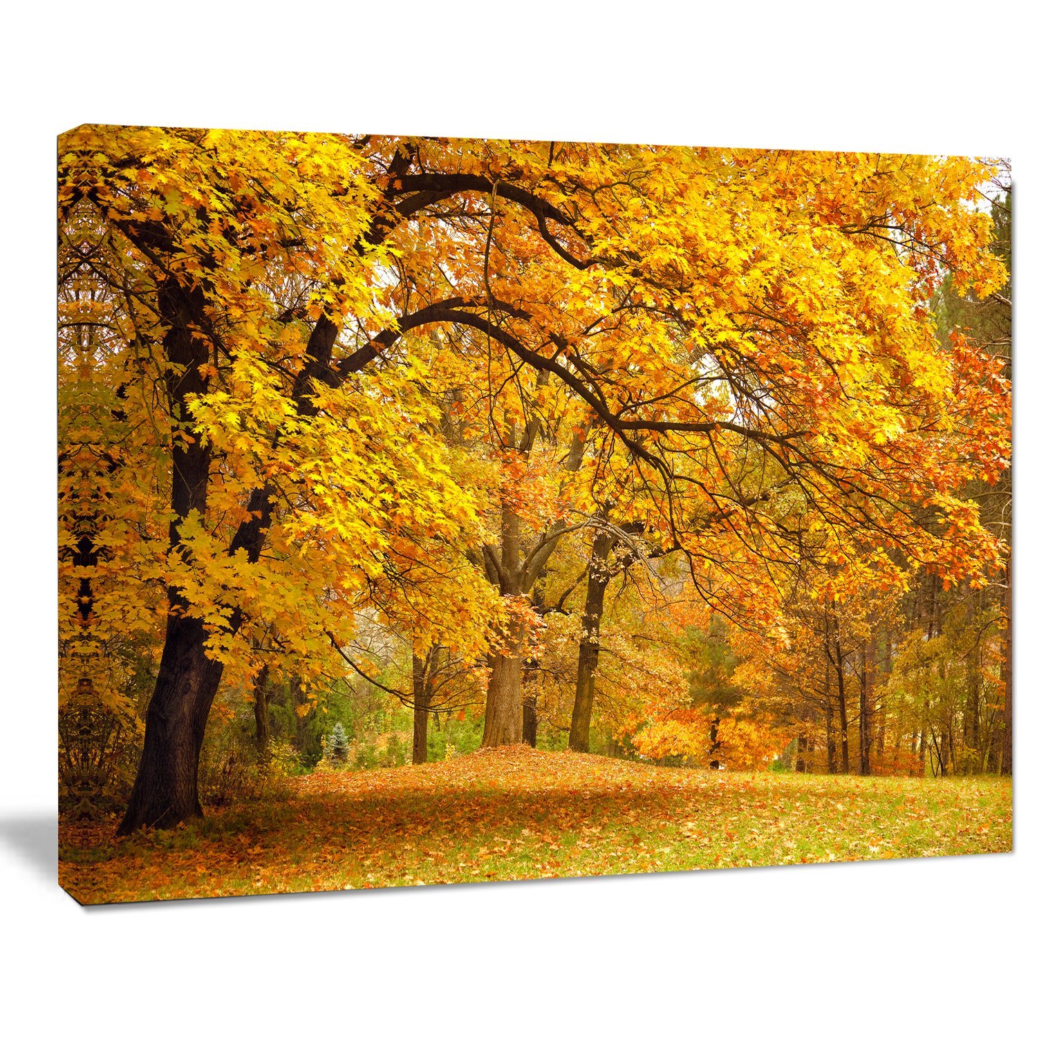 Golden Autumn Forest Landscape Photography Canvas Print - Stunning Nature Wall Art for Living Room, Bedroom & Office Decor