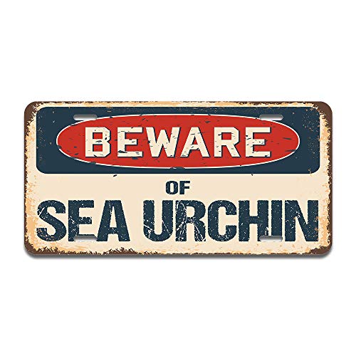 Beware of Sea Urchin