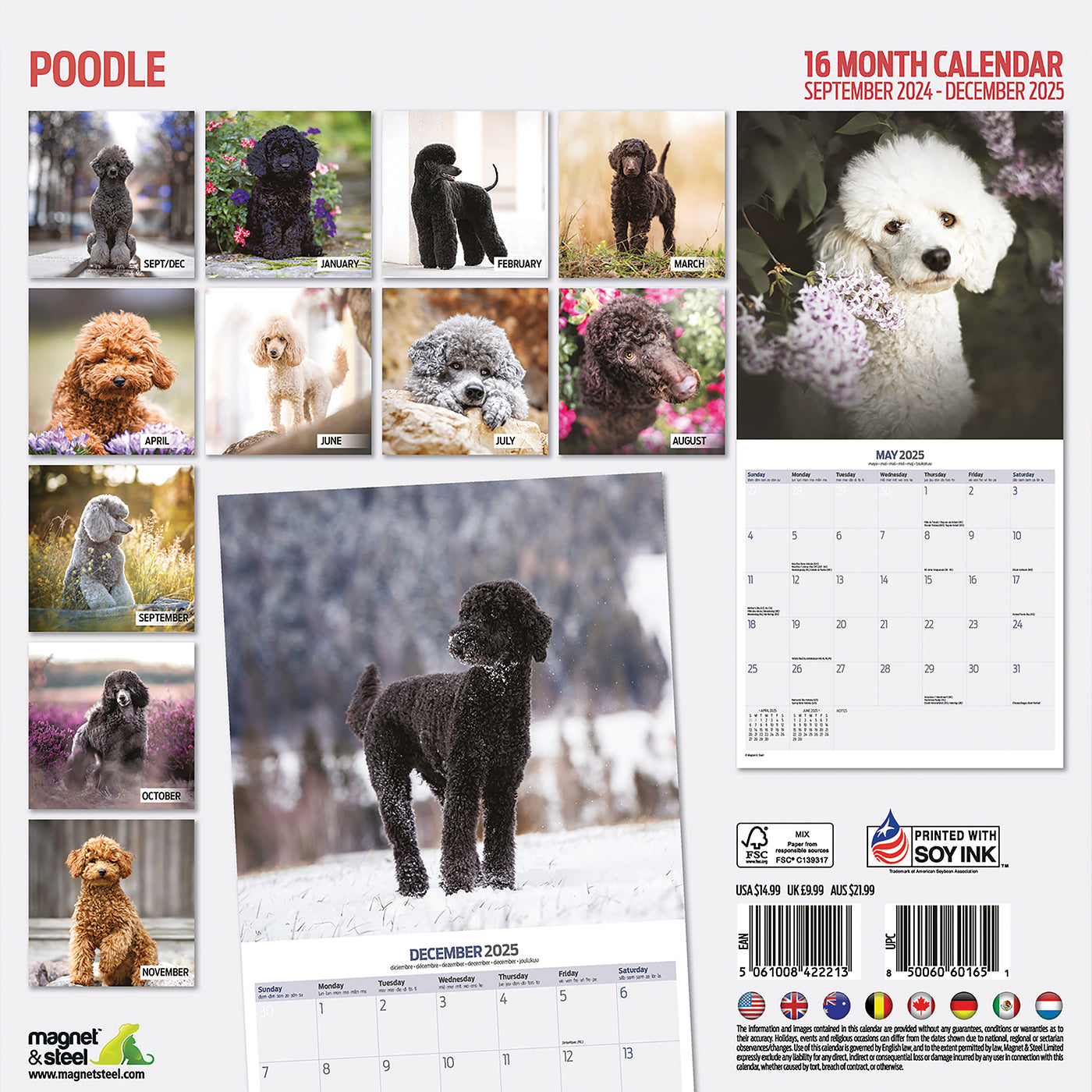 2025 Poodle Themed Traditional Wall Calendar | Cute Dog Lover Gift | Perfect for Home, Office & School Organization