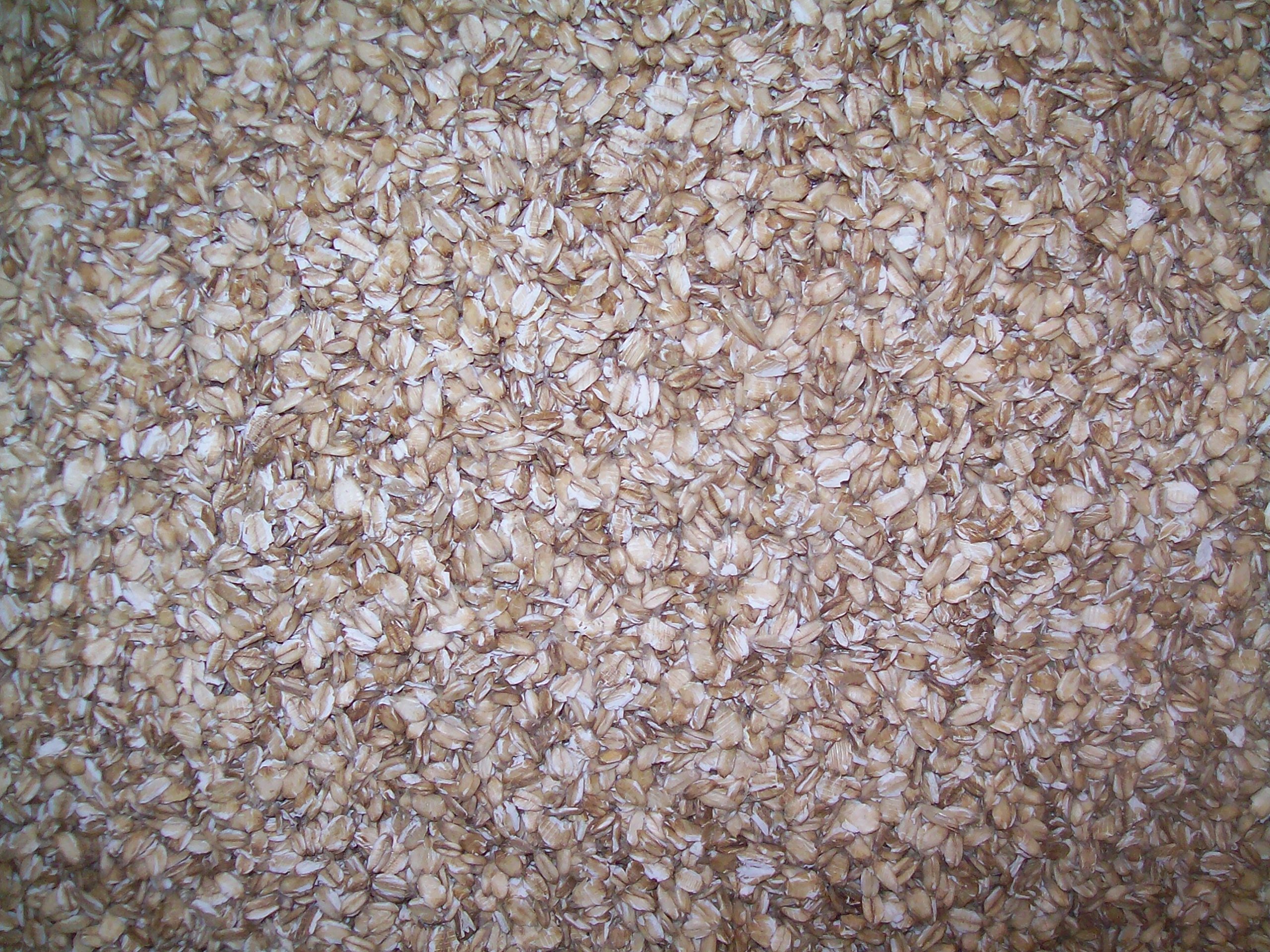 Organic Rolled Oats - Non-GMO, Farmer Direct, Fresh Cold Rolled Raw Hulless Oats (1 lb) - Perfect for Breakfast, Baking & Healthy Snacks