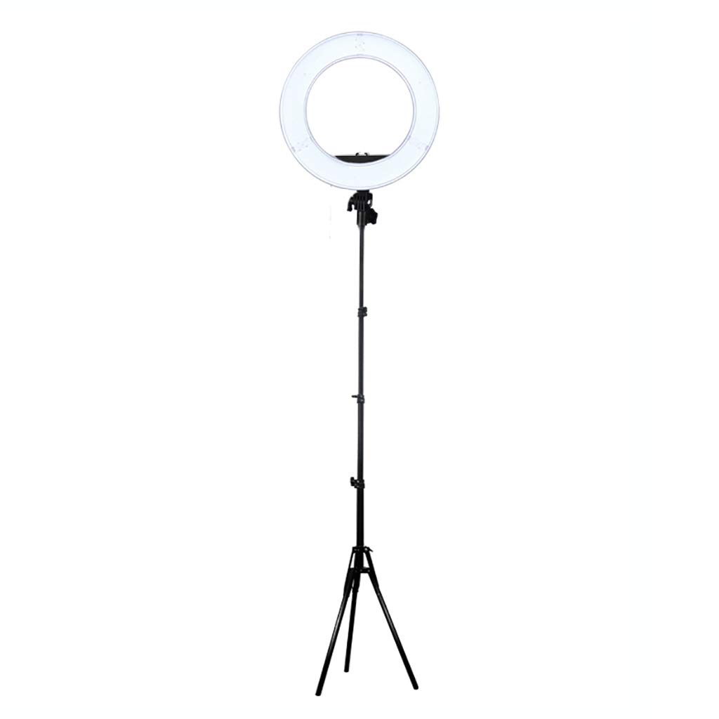 Professional 24in Ring Light with Stand - 60W Dimmable 5500K LED Video Light for Phone Selfies, YouTube Videos, Makeup & Portrait Photography | Perfect for Content Creators, Vloggers & Beauty Studios