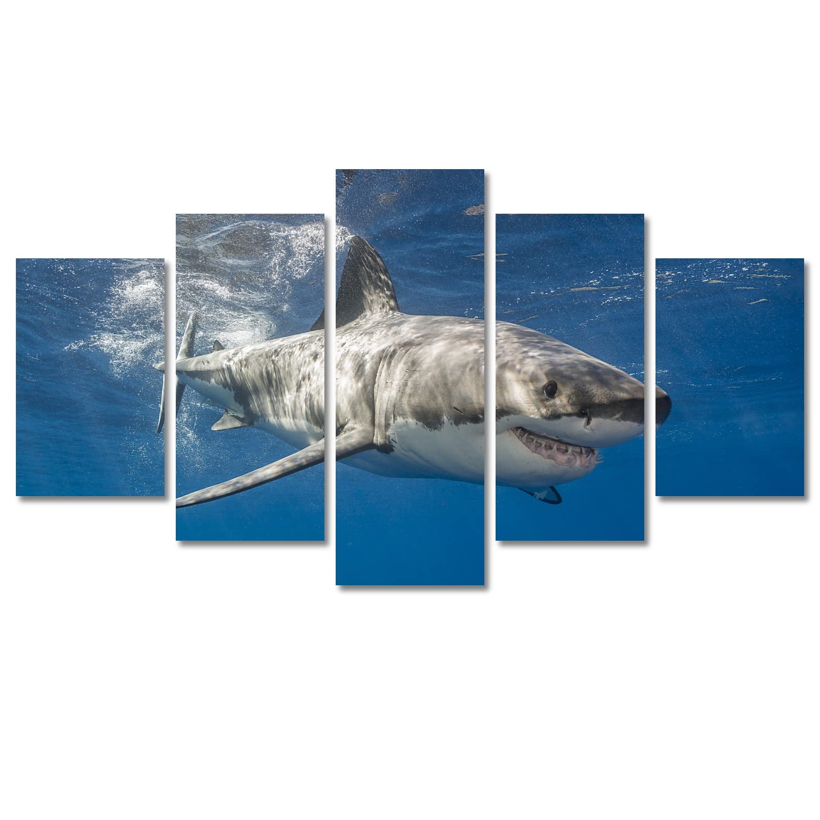 5-Piece Framed Shark Canvas Wall Art Set - 60