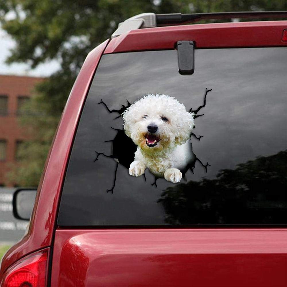 Bichon Frise Car Decals - Pack of 2 Realistic Dog Stickers for Windows & Walls (8