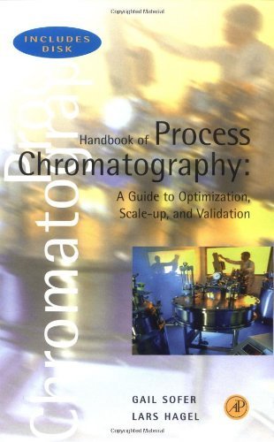 Process Chromatography Handbook: Optimization, Scale-Up & Validation Guide for Biopharmaceutical Manufacturing - Essential Resource for Scientists & Engineers in Drug Development Labs