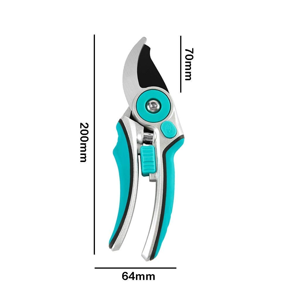 Premium Stainless Steel Garden Pruning Shears - Sharp Bypass Pruner for Trimming Branches, Stems & Plants | Ergonomic Gardening Scissors with Non-Slip Handles (Blue) | Ideal for Home Gardeners, Landscaping & Outdoor Plant Care
