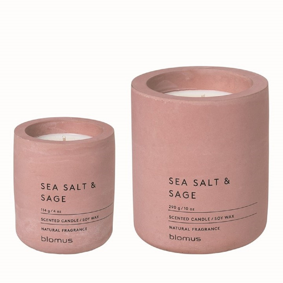 Withered Rose Container - Sea Salt and Sage Fragrance