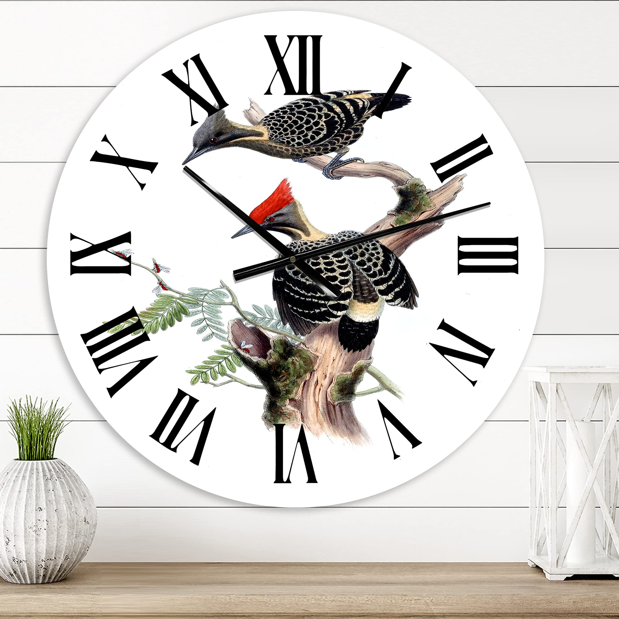 Vintage Birds in The Wild VI - Large Traditional Wall Clock with Animal Design for Home, Office & Living Room Decor | Silent Non-Ticking Battery Operated Clock | Perfect for Bedroom, Kitchen & Classroom
