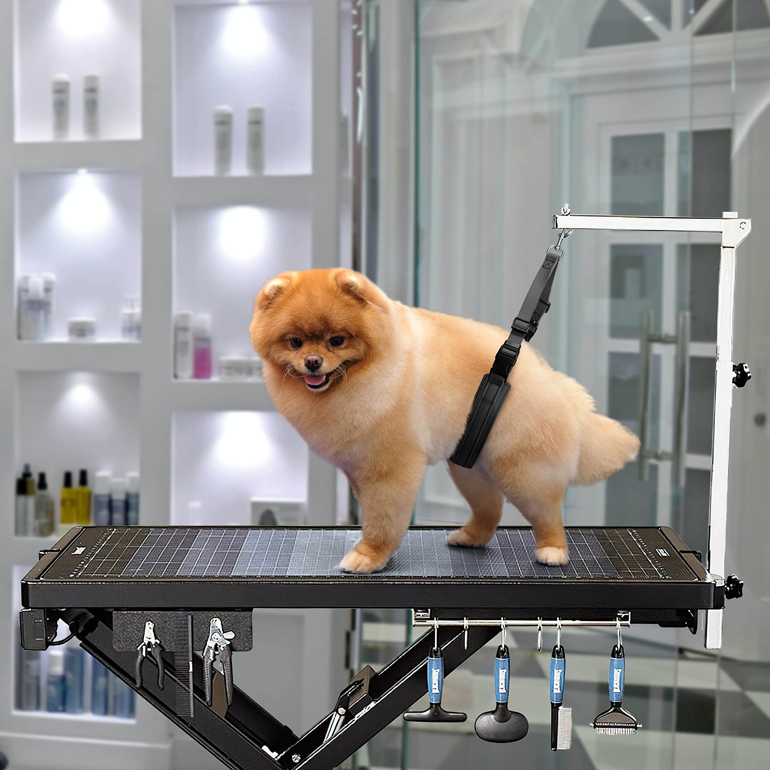 Waterproof Jelly Pet Dog Belly Loop Restraint for Grooming Table & Bath Tub - Easy Clean, Durable & Made in USA - Perfect for Professional Pet Grooming, Bathing & Vet Visits (Teal)