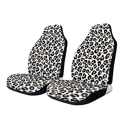 Cheetah Leopard Print
