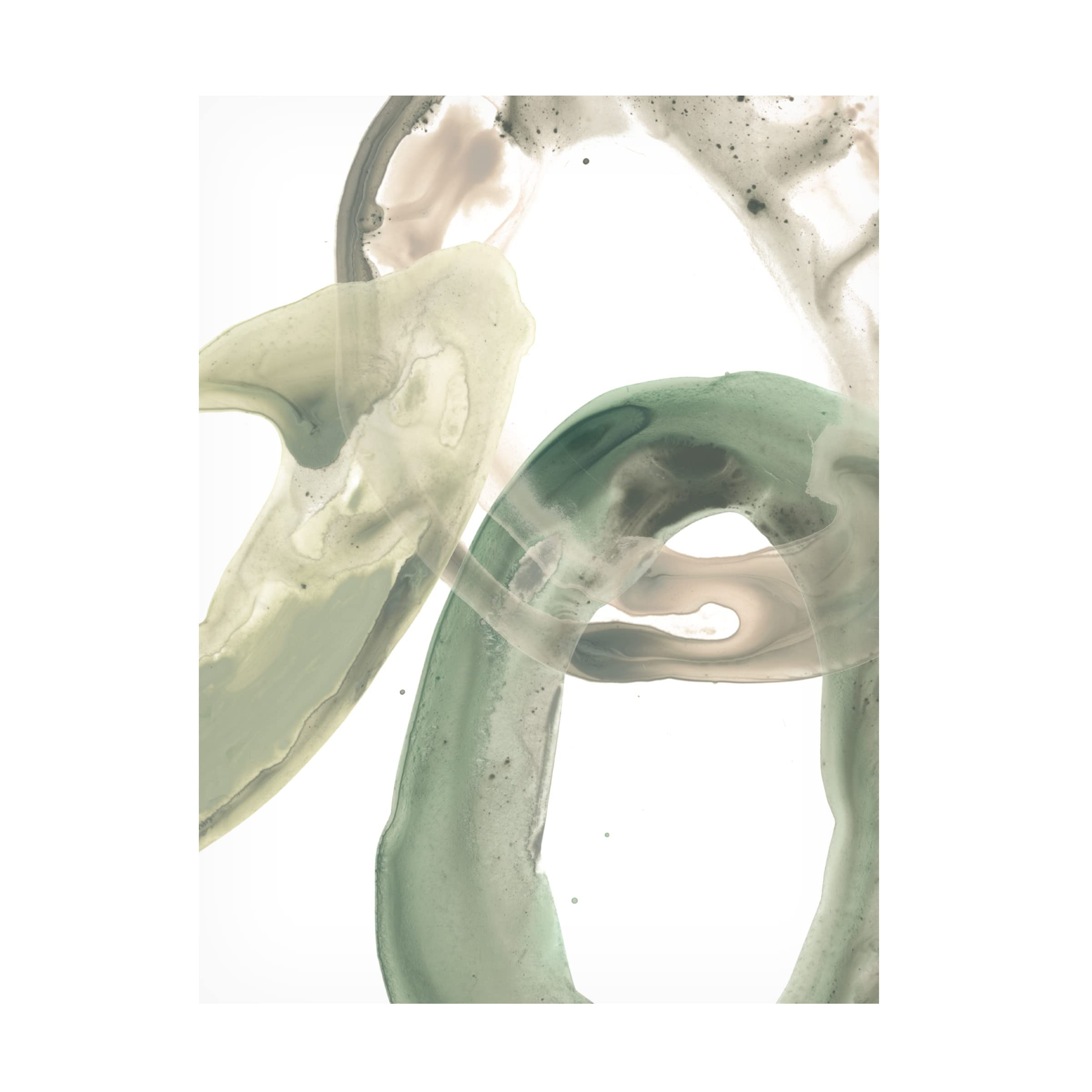 Trademark Fine Art 'Concentric Lichen V' Canvas Art Print by June Erica Vess - Modern Abstract Nature Wall Decor for Living Room, Bedroom & Office