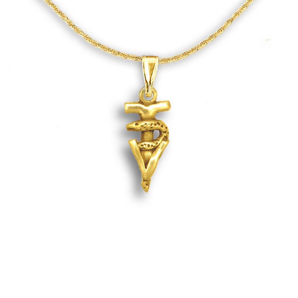 14K Solid Gold Veterinary Caduceus Pendant Necklace - Handmade in USA - Perfect Vet Tech Gift, Veterinarian Graduation Present - Ideal for Clinics, White Coat Ceremonies & Animal Care Professionals