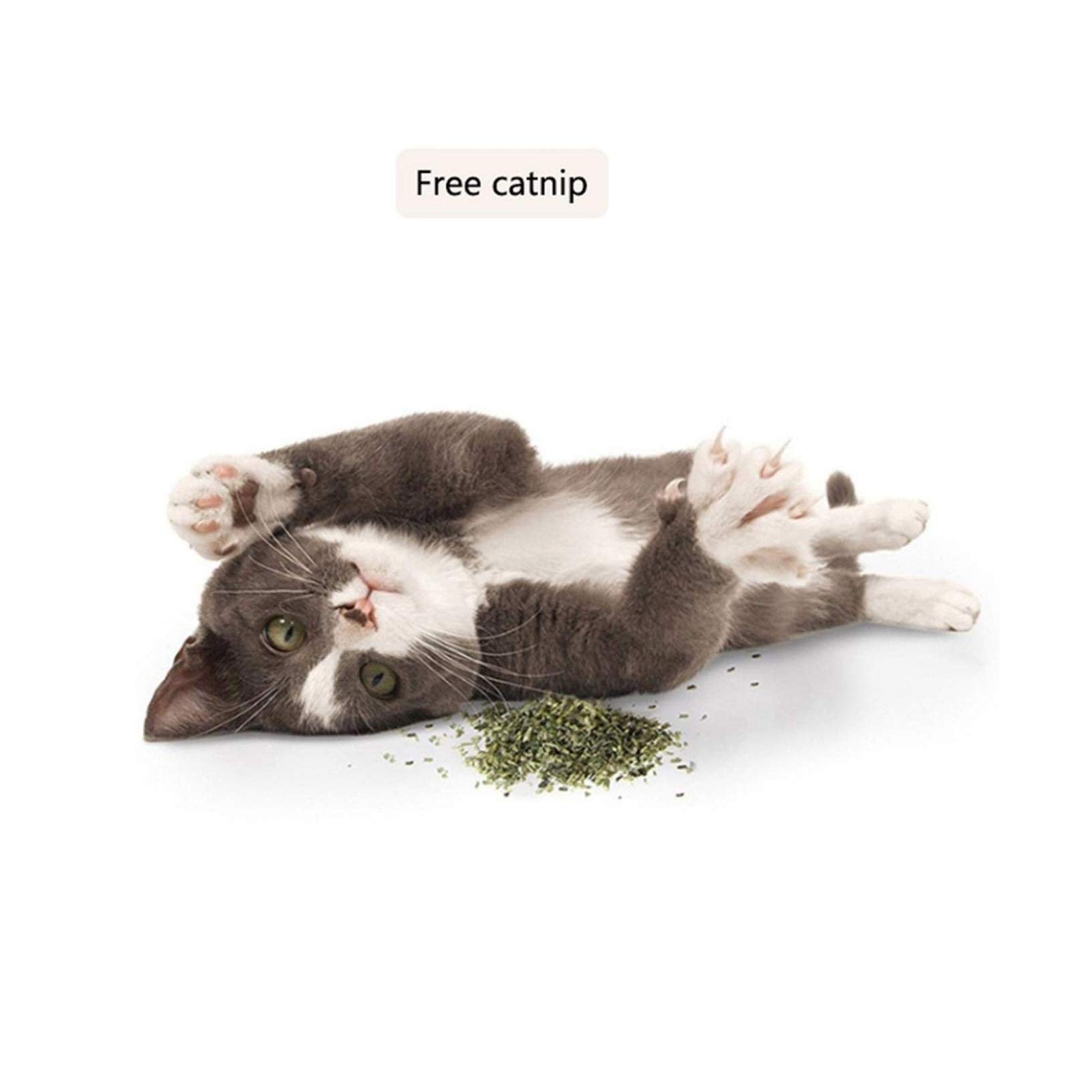 Reversible Wave Cat Scratching Board - Eco-Friendly Recycled Corrugated Cardboard - Cat Lounge Bed & Kitten Toy - Brown - Perfect for Indoor Cats, Small Spaces & Multi-Cat Households