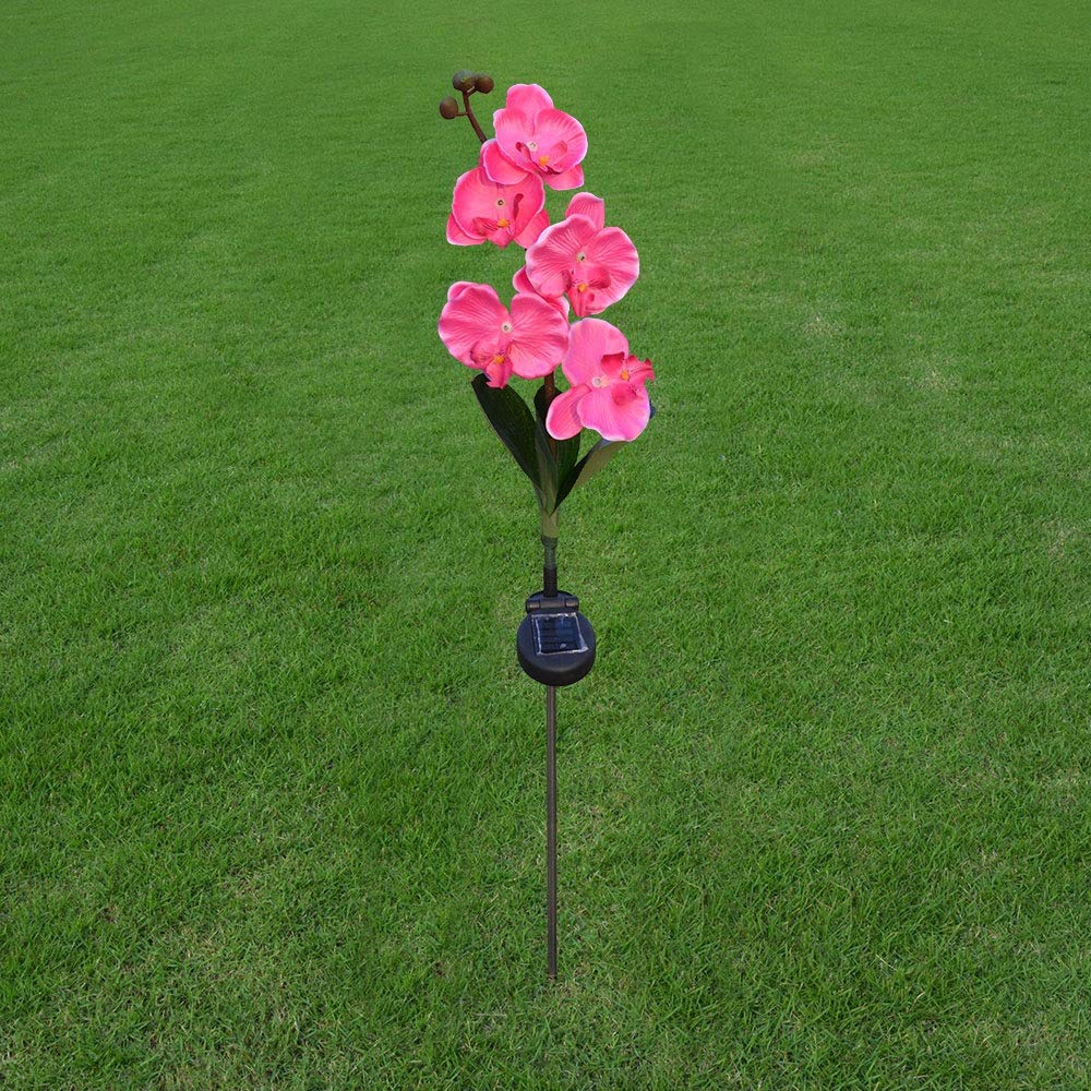 LANDUA 5-Head Solar Powered LED Butterfly Orchid Flower Lights - Outdoor Garden Pathway, Yard Lawn & Landscape Decoration - Weatherproof for Patio, Backyard, Walkway Decor