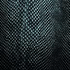 Snake Skin Black