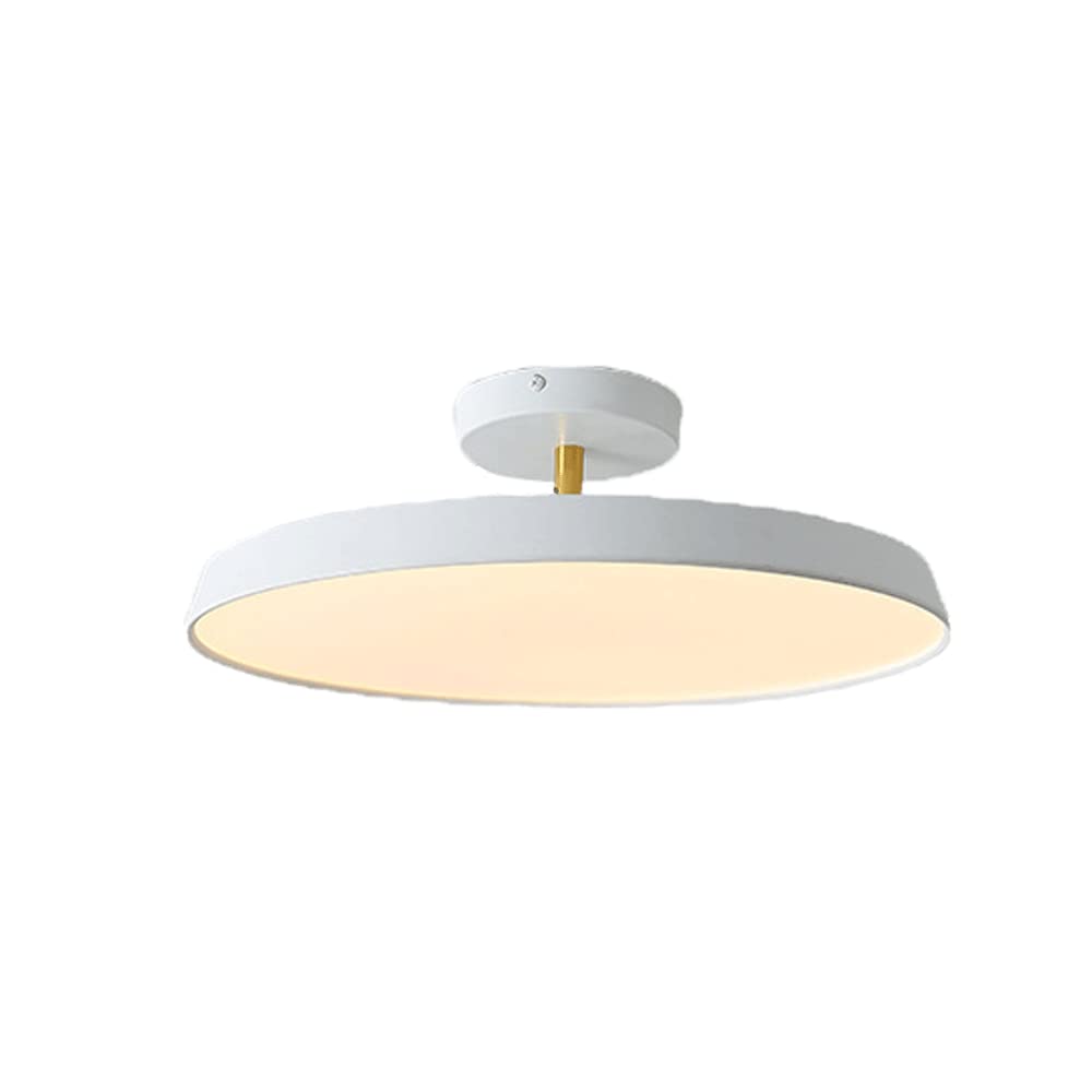 Joonolu Rotatable LED Ceiling Light - 3 Color Dimmable Flush Mount Fixture with Wall Switch Control - Perfect for Study, Cloakroom & Home Lighting