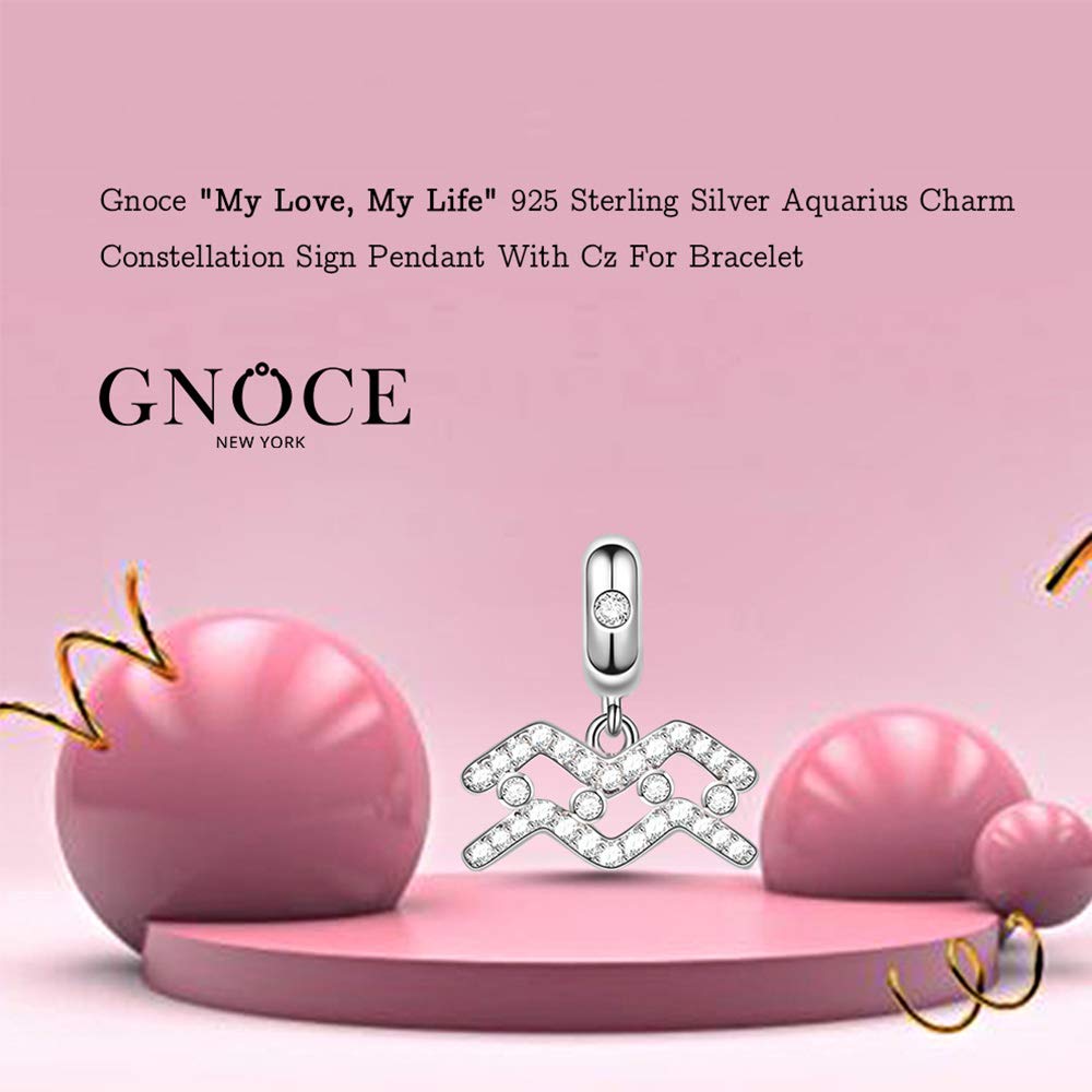 GNOCE Aquarius Zodiac Pendant - Sterling Silver 'My Love, My Life' Charm with Cubic Zirconia for Women | Perfect for Bracelets & Necklaces | Birthday Gift, Anniversary Present, Zodiac Jewelry