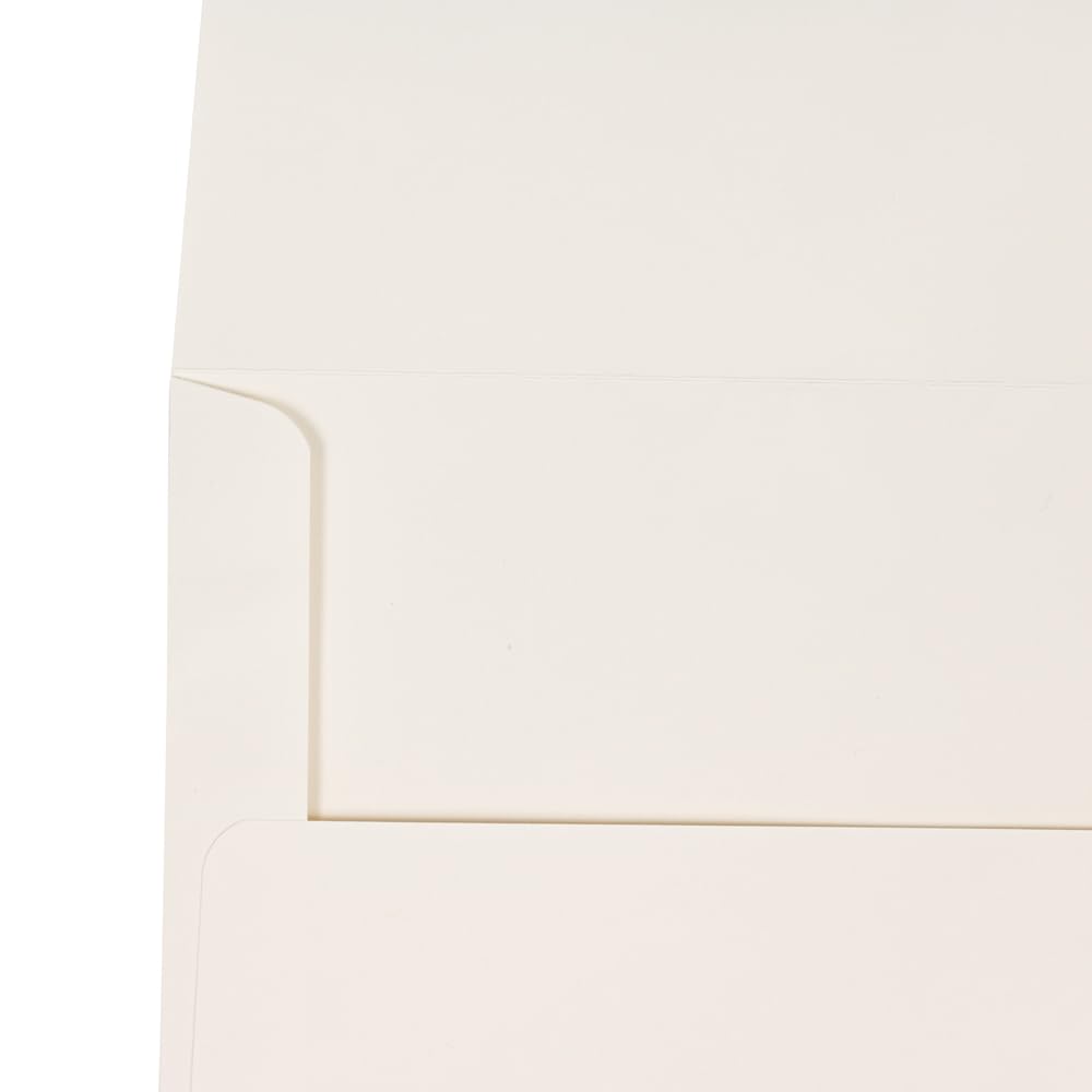 JAM PAPER A10 Strathmore Invitation Envelopes 6 x 9.5 Inches - Natural White Wove Paper - Bulk Pack of 500 Envelopes per Box - Perfect for Wedding Invitations, Greeting Cards & Business Correspondence