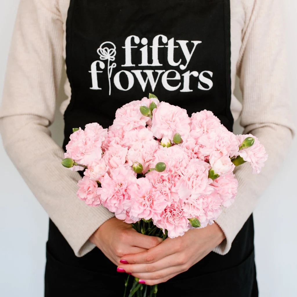 Ballet Pink Mini Carnation Flowers - Fresh Cut Flowers for Weddings, Home Decor & Gifts | Perfect for Bouquets, Centerpieces & DIY Floral Arrangements