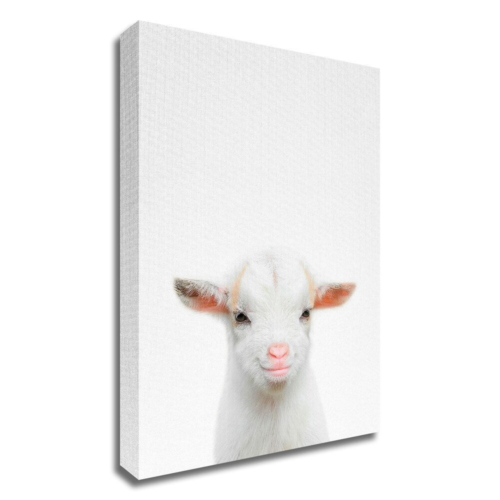 Baby Goat Wall Art by Tai Prints - Handmade Canvas Print Ready to Hang - Perfect for Nursery, Kids Room & Farmhouse Decor