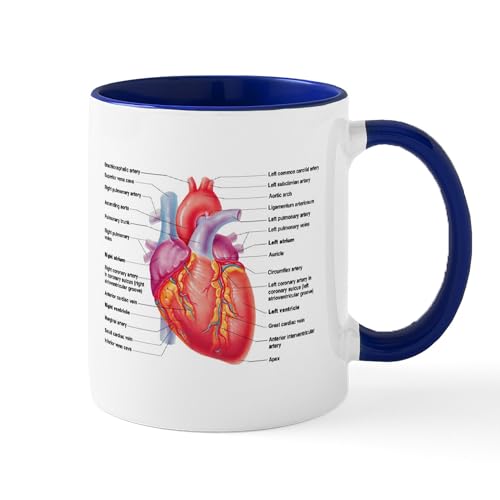 White/Navy Inside - Human Heart Mugs