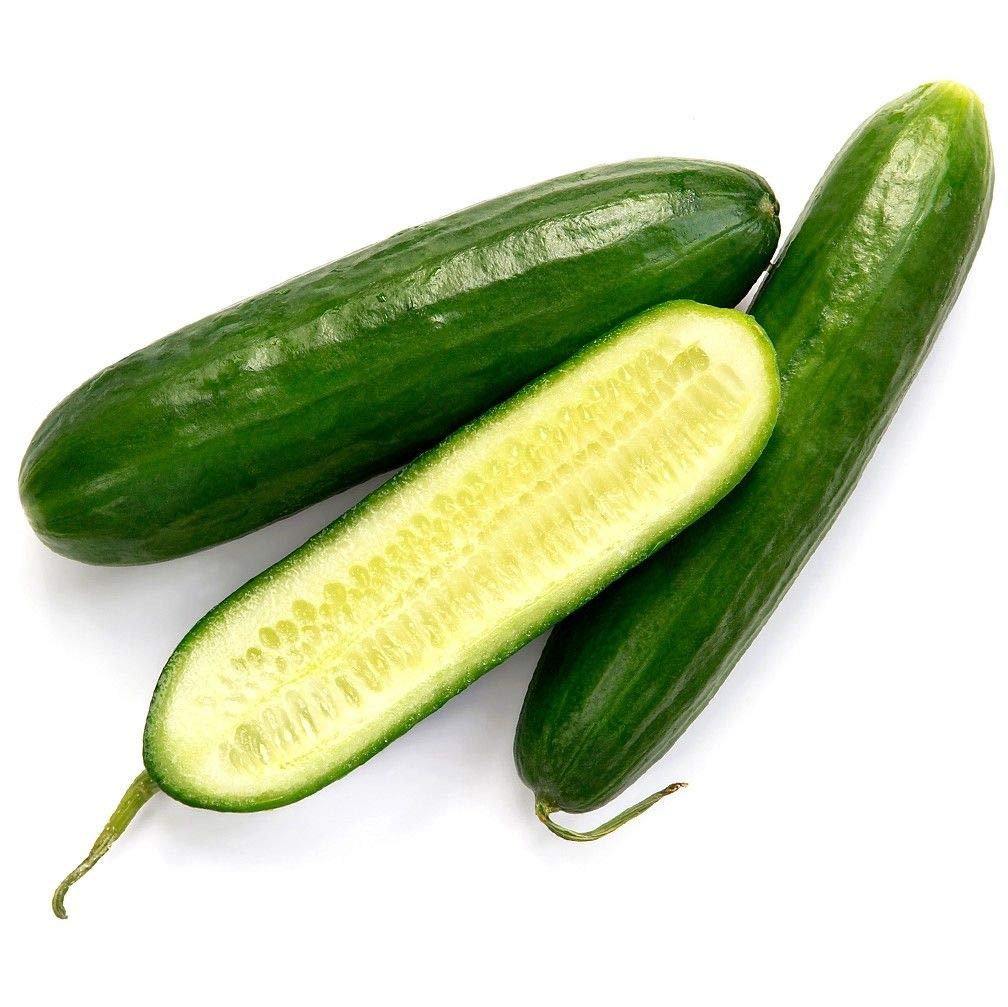 Organic Burpless Cucumber Seeds - Non-GMO Heirloom Variety (500 Seeds or 1/2 oz) for Home Gardening, Hydroponics & Fresh Salads - Sweet Garden Cucumber Seeds for Planting Outdoors & Greenhouses