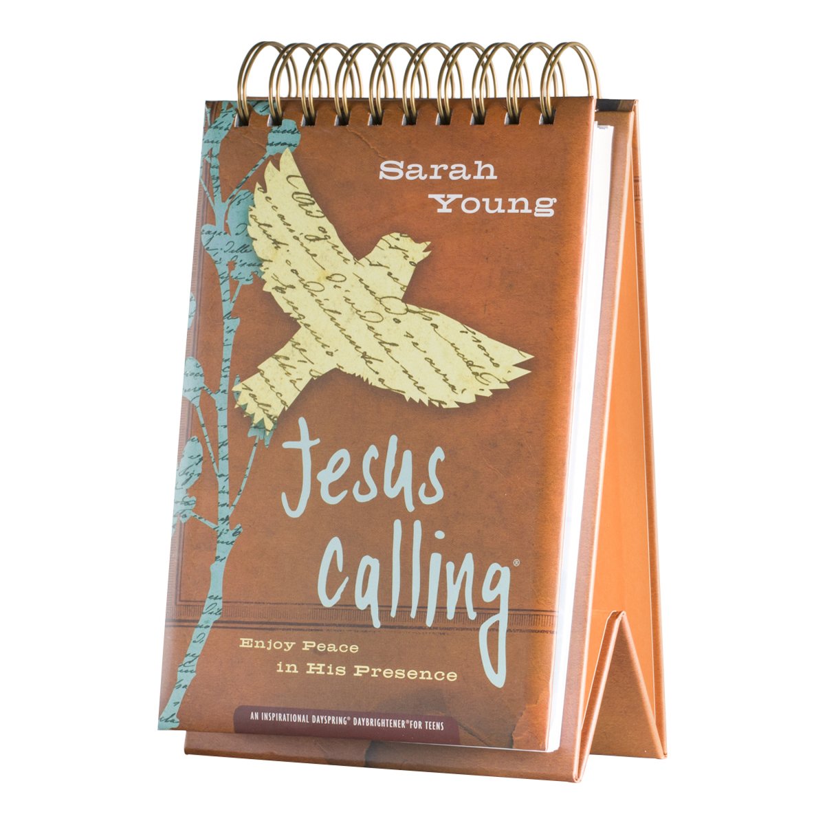 DaySpring DayBrightener Jesus Calling Teen Devotional by Sarah Young - Large Perpetual Calendar for Christian Teens | Daily Inspiration & Bible Study Gift