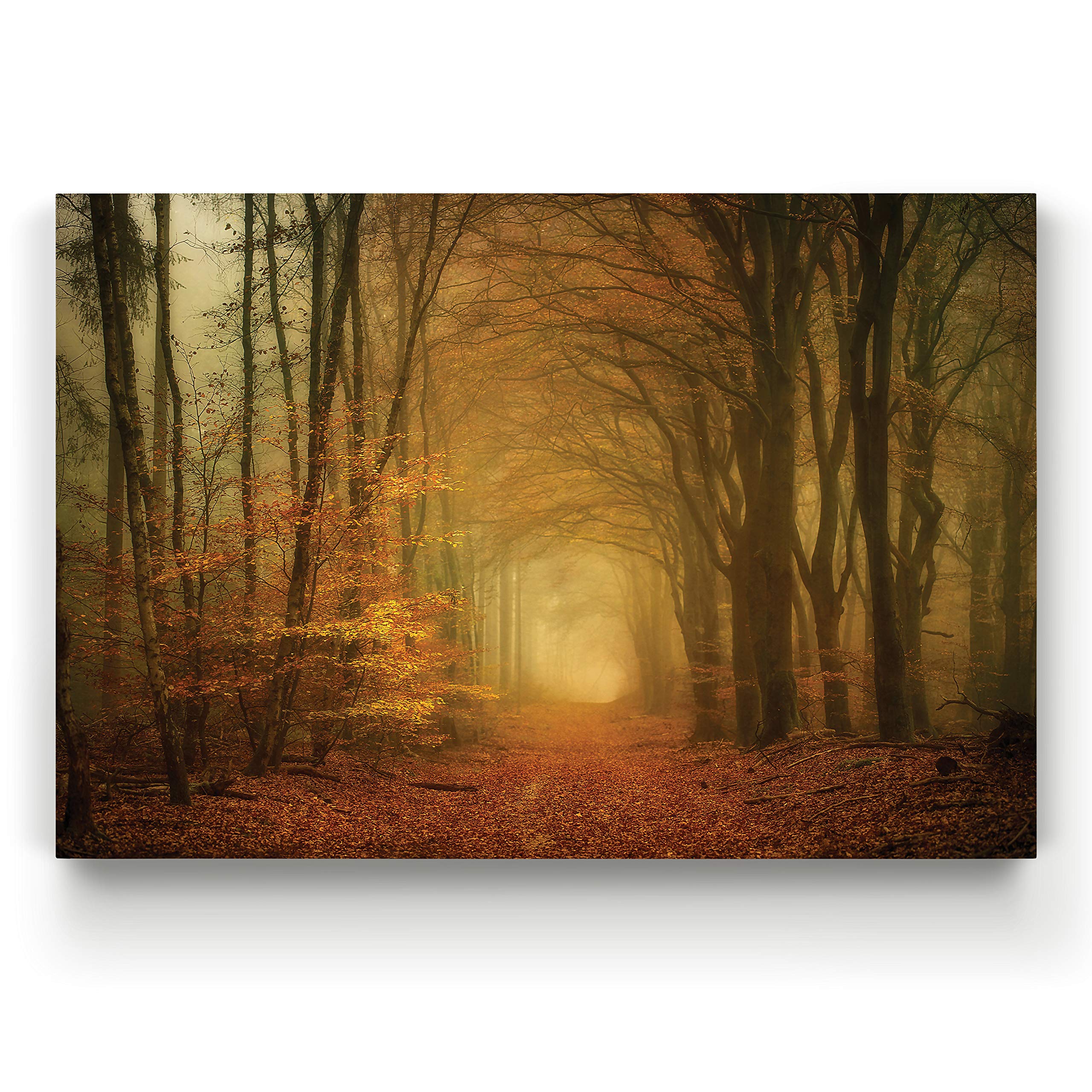 Early Light Landscape Canvas Wall Art Print - 32x48 Inch Ready to Hang Photographic Picture for Home & Office Decor | Nature Scenery Living Room Bedroom Wall Decorations