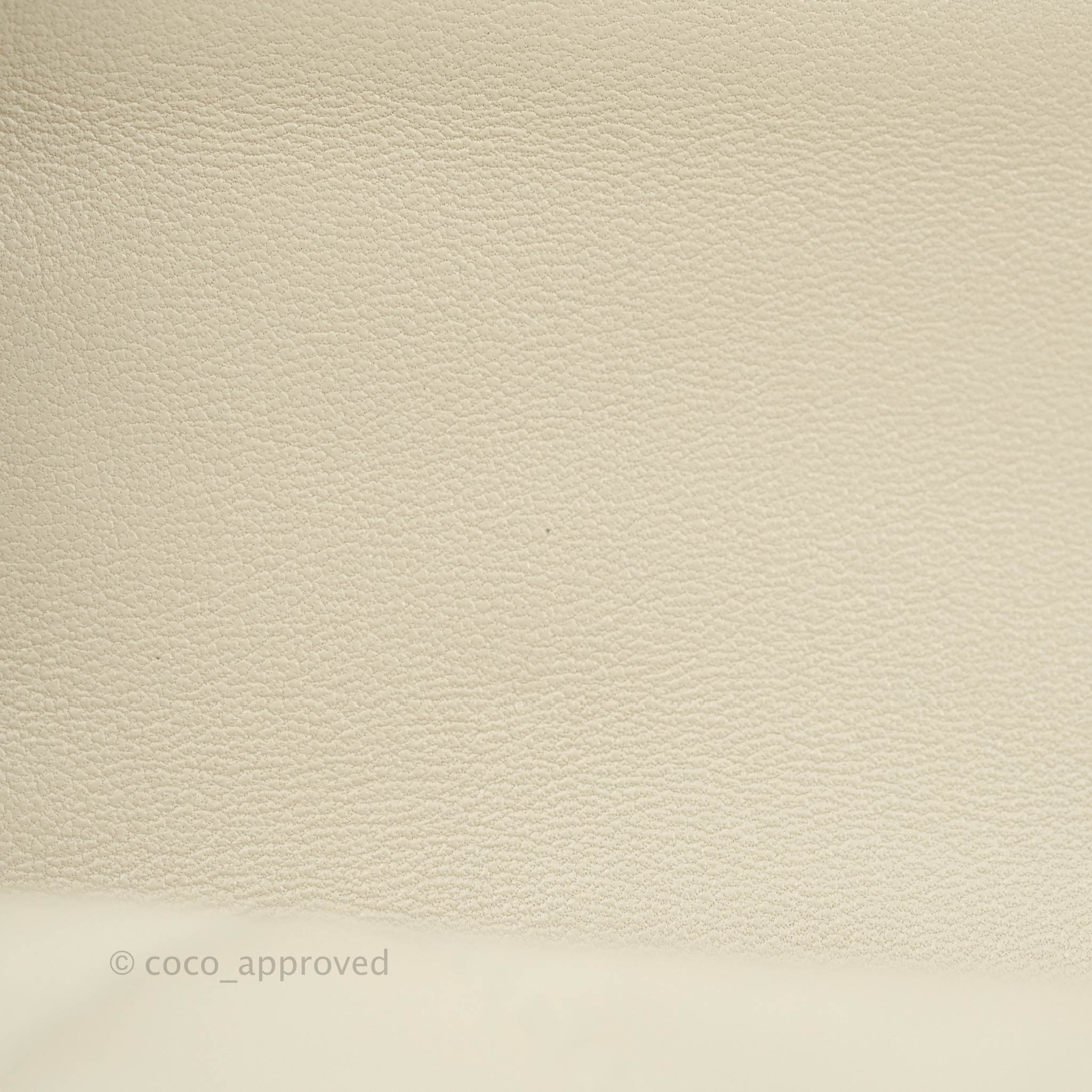 Chanel 19 Medium Flap Bag in Beige with Mixed Hardware - Luxury Designer Handbag for Women, Perfect for Work, Evening & Special Occasions