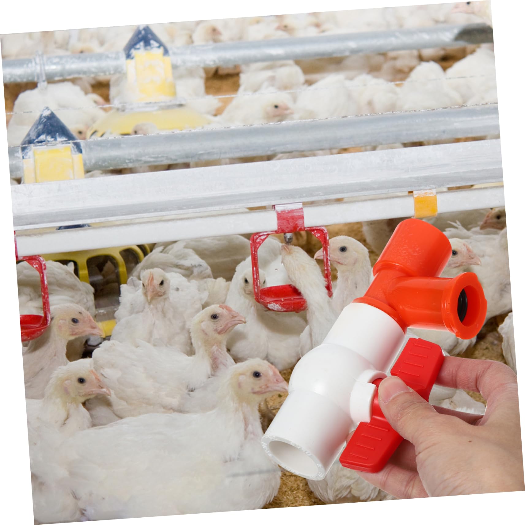 CIYODO Poultry Farm Water System: End Valve Pressure Regulator with Water Level Display & Hose for Efficient Livestock Hydration