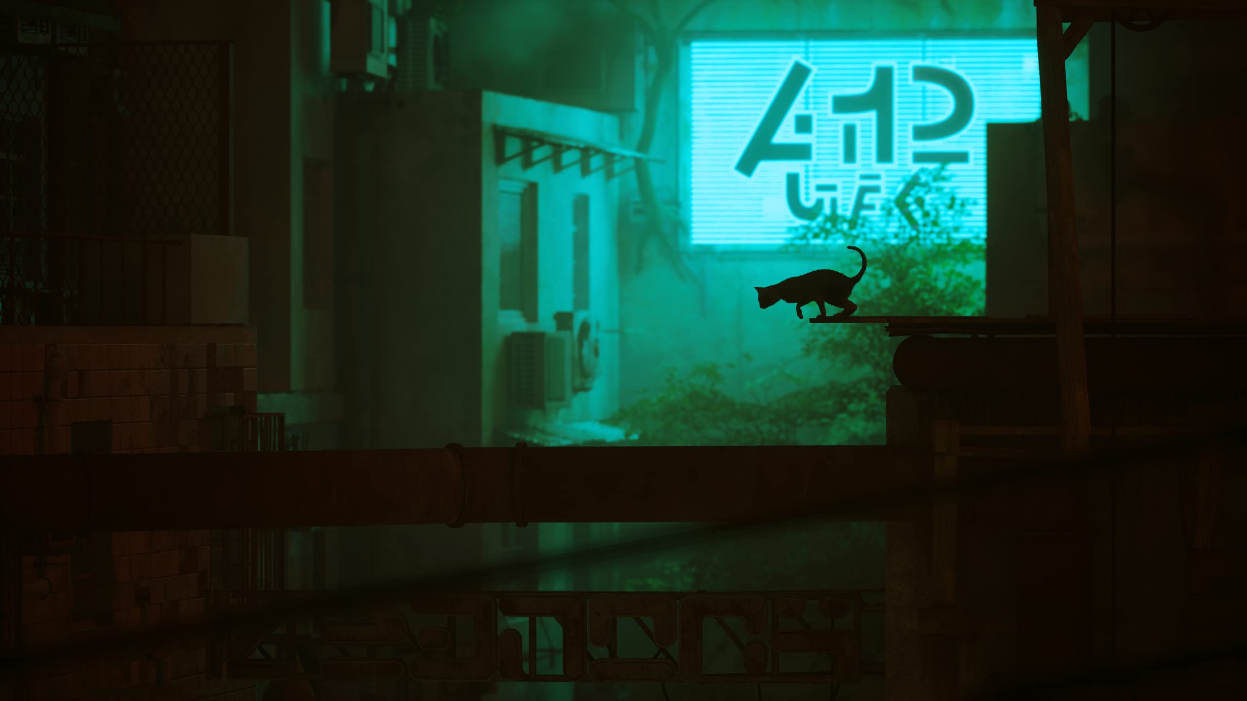 Stray (PS4) - Adventure Game for Cat Lovers | Explore a Futuristic Cybercity with Your Feline Companion | Perfect for Gamers & Cat Enthusiasts