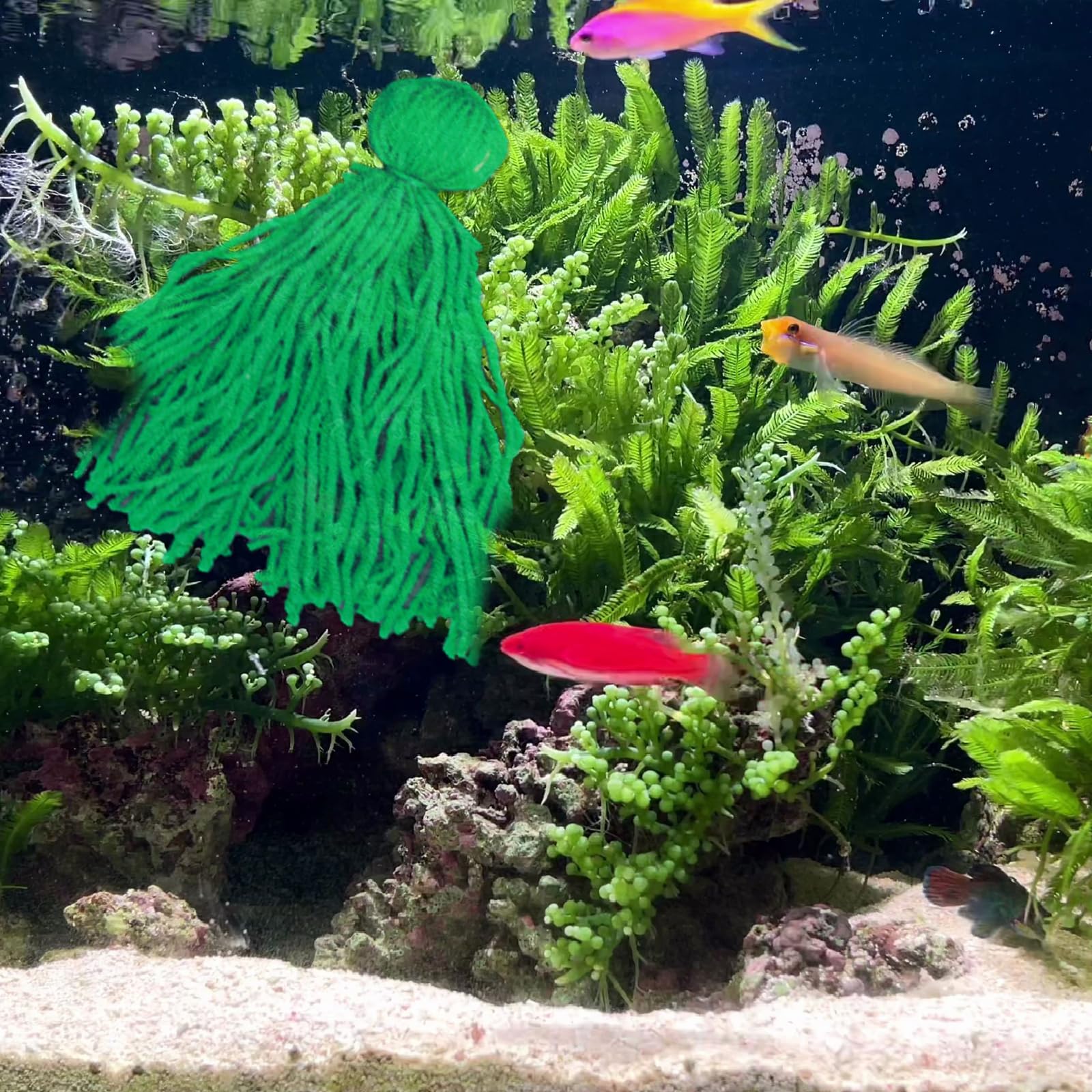Premium Floating Fish Breeder Spawning Mop for Aquarium - Green Egg Laying Mat for Tropical Fish, Betta, Goldfish & Guppies | Ideal for Fish Tanks, Breeding Tanks & Hatcheries