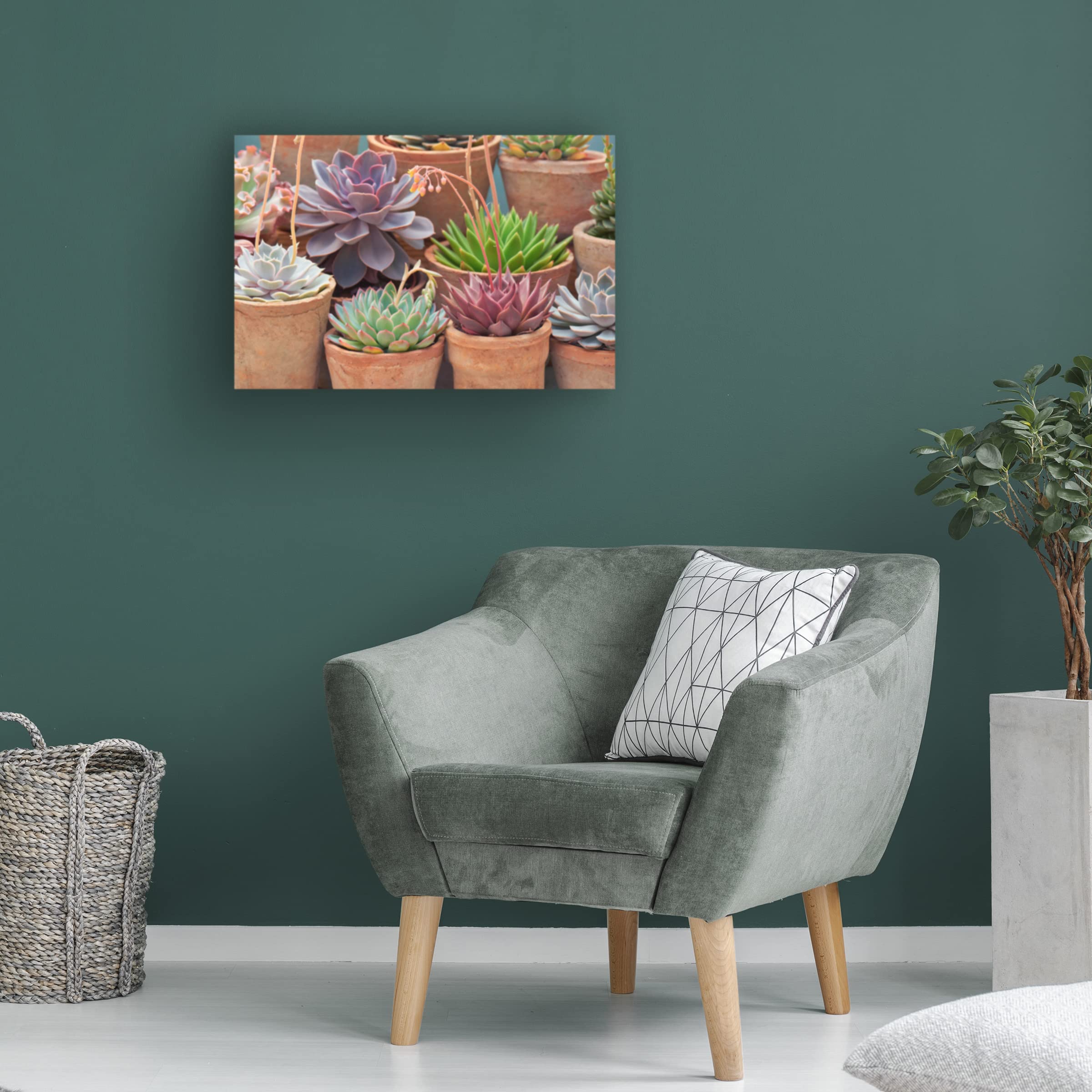 Trademark Fine Art 'Succulents in Terracotta Pots III' Canvas Wall Art by Cora Niele - Perfect for Living Room, Bedroom & Office Decor