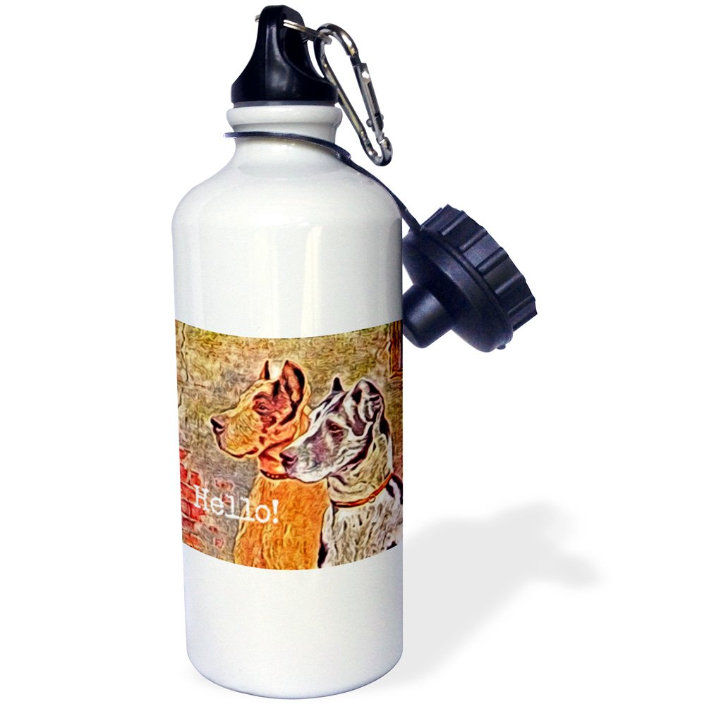 3D Rose Great Dane Hello by Angel and Spot - 21 oz White Sports Water Bottle for Gym, Hiking & Outdoor Activities - BPA Free Leak Proof Design