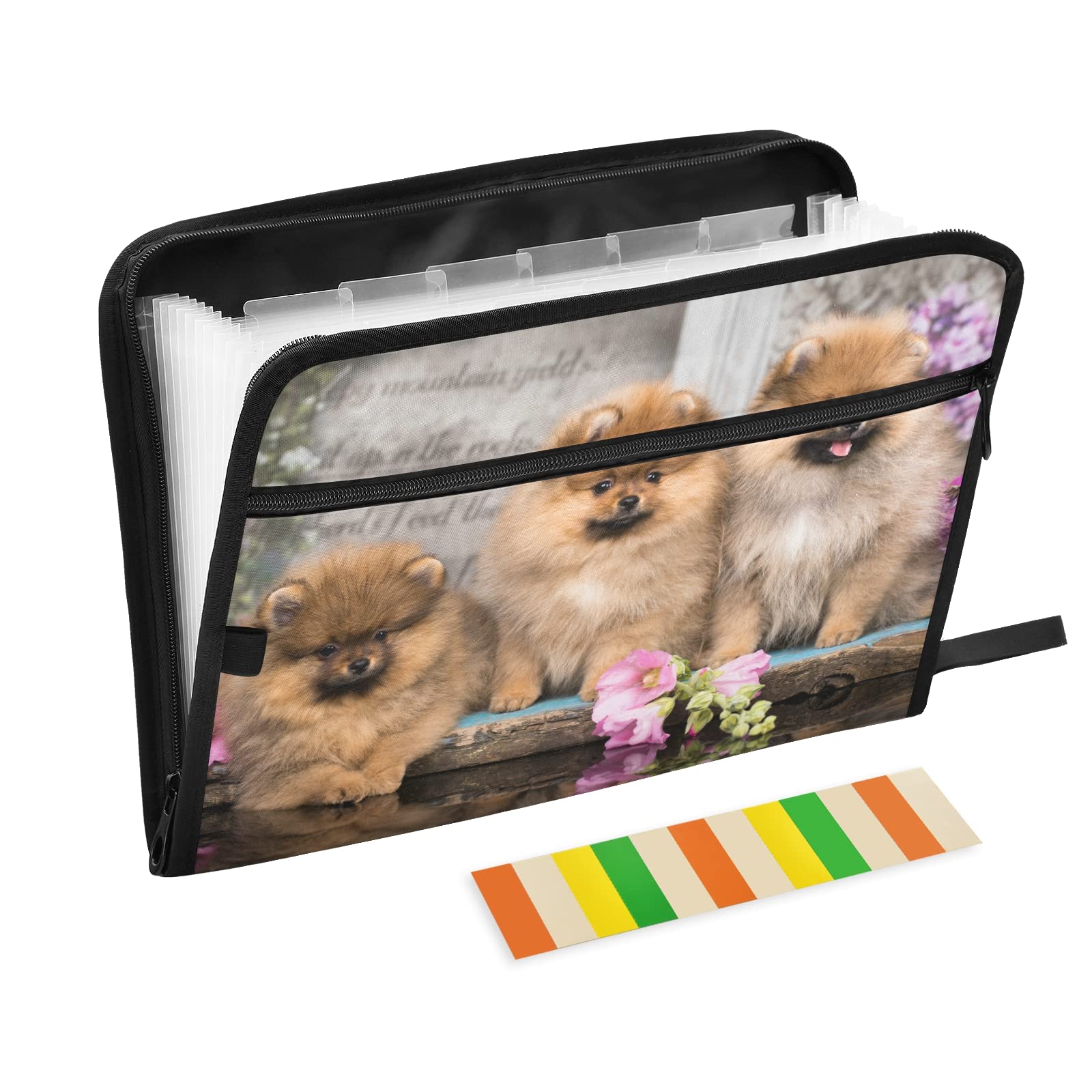 UMIRIKO 13-Pocket Expanding File Folder for Dogs - A4 Letter Size Accordion Organizer with Sticky Labels & Zipper Closure | Perfect for Pet Records, Vet Documents & Dog Show Paperwork (20220772)