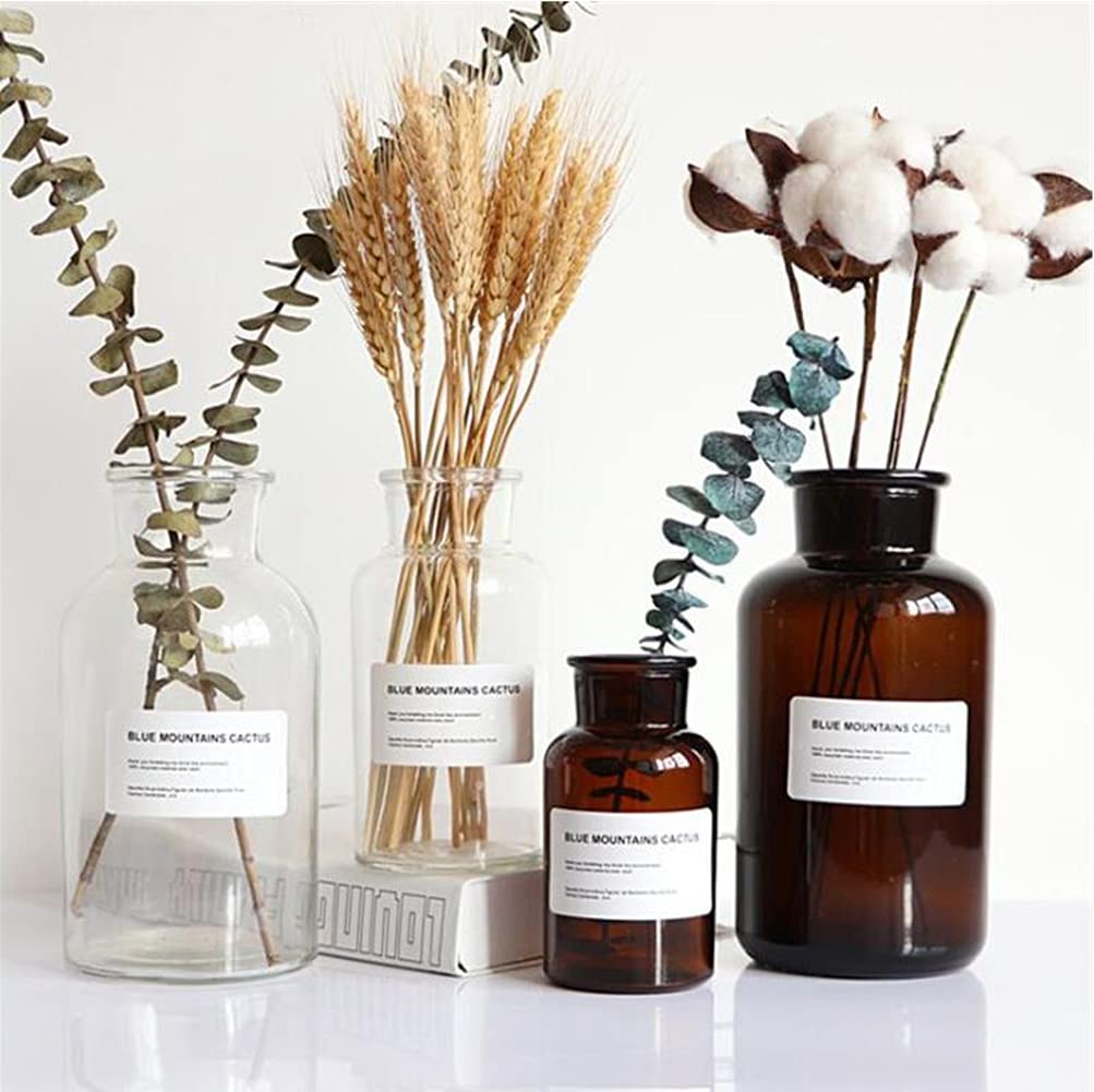 1PC Glass Bud Vase Set - Clear Apothecary Jars for Wedding Centerpiece & Home Decor