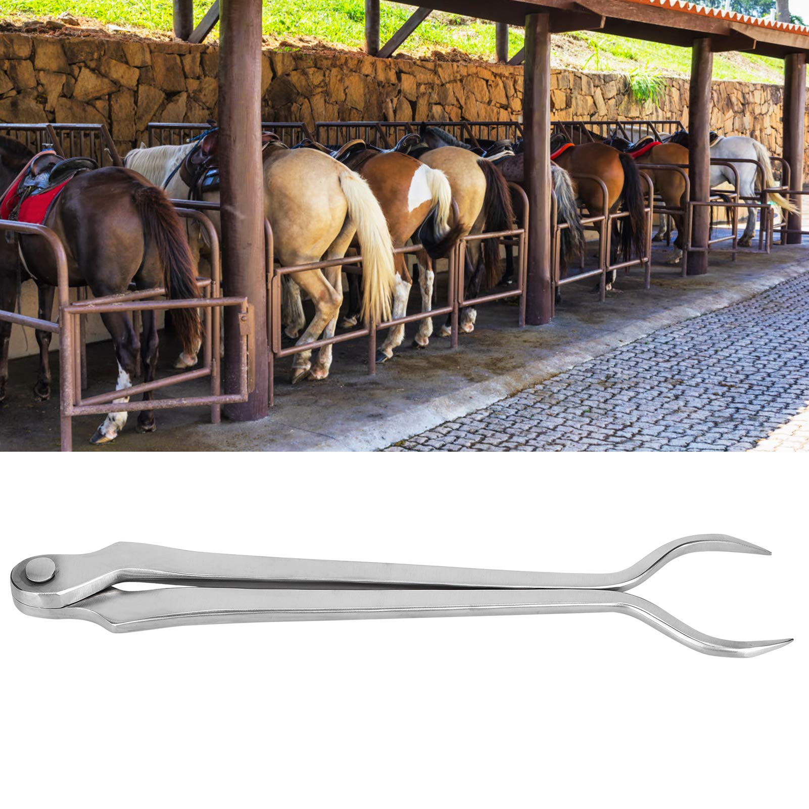 Farriers Tongs for Hot Fitting Horse Hoof - Durable Steel Tool for Hoof Repair | Compact & Convenient for Home & Professional Use | Perfect for Farriers, Blacksmiths & Equestrian Care