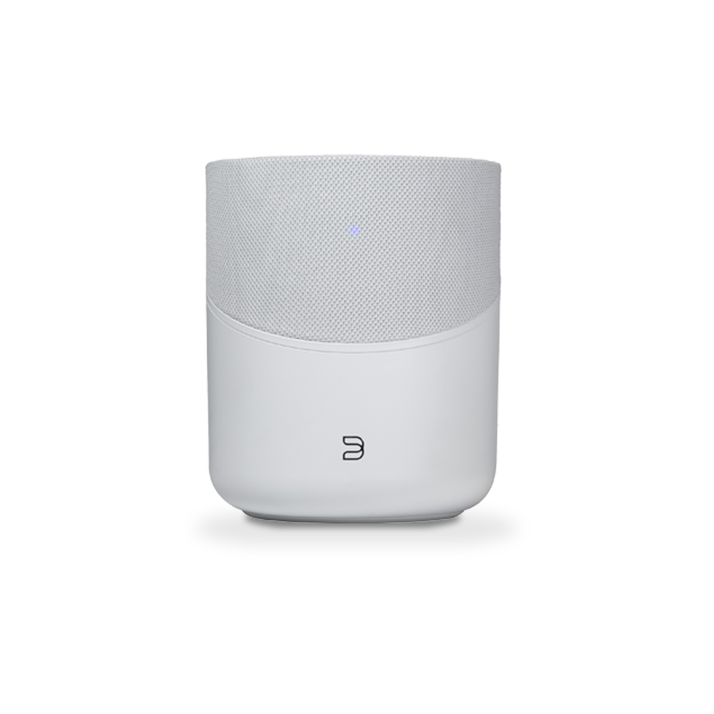 Bluesound PULSE M Wireless Multi Room Music Streaming Speaker - High Fidelity Audio for Home Theater, Parties & Outdoor Entertainment