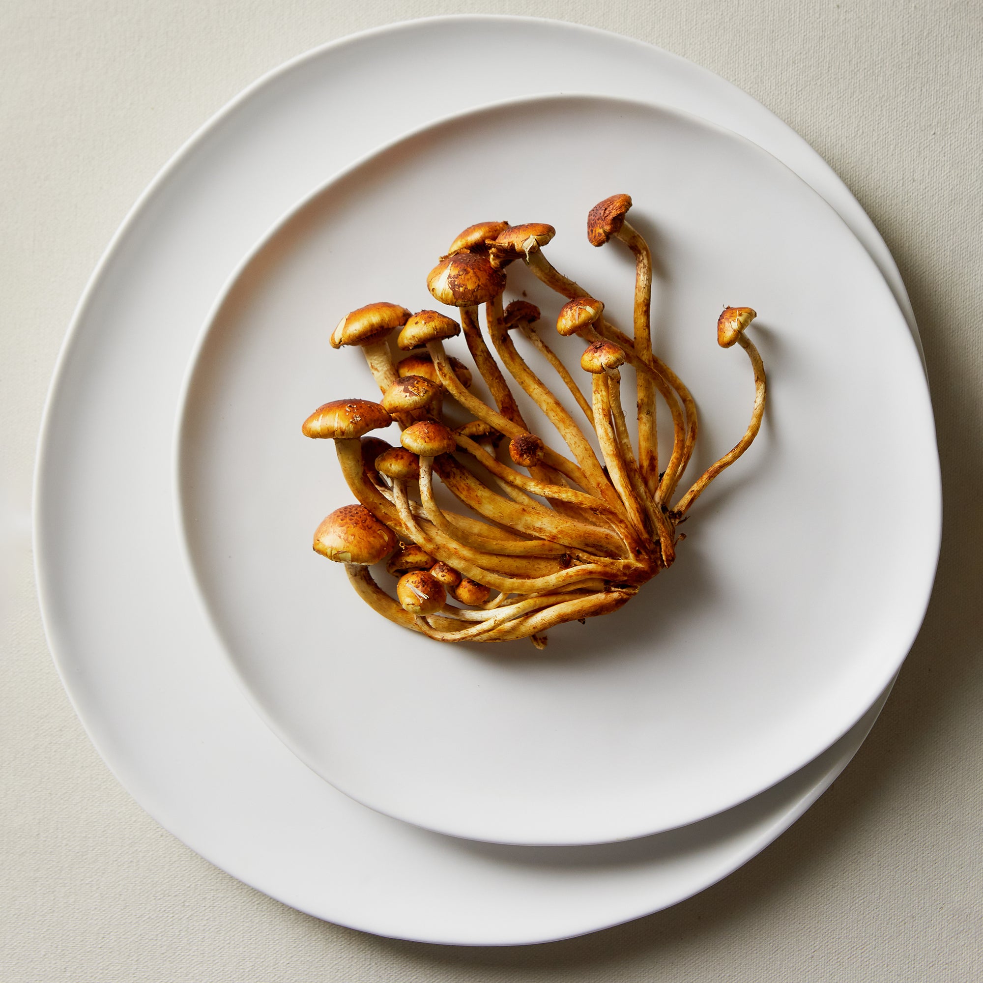 Organic Dinnerware Set - Eco-Friendly Plates, Bowls & Cups for Sustainable Dining | Perfect for Everyday Meals, Parties & Picnics