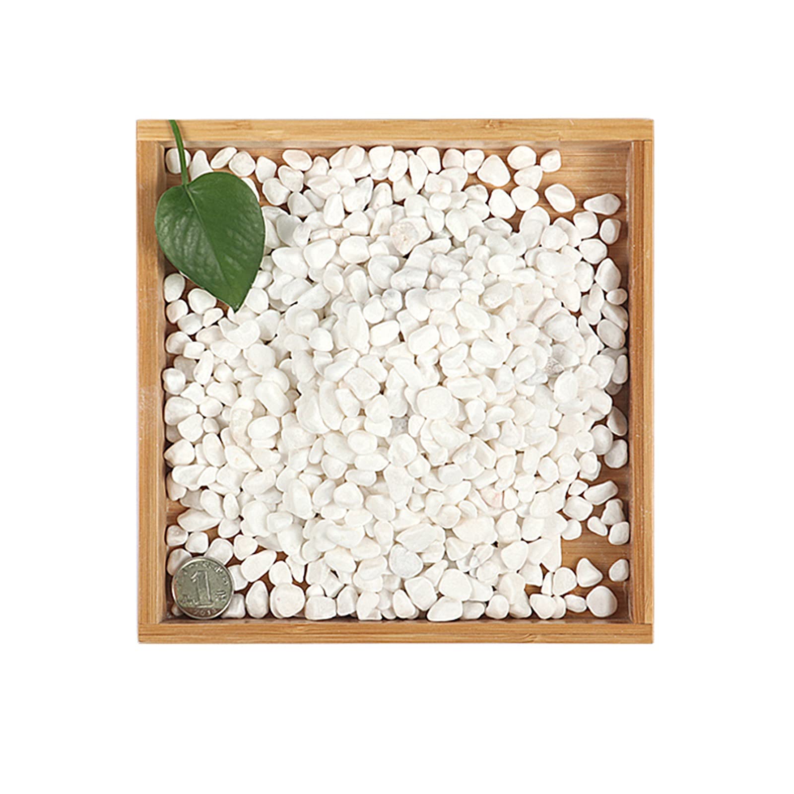 Natural Decorative Pebbles for Plants - 11 Pounds River Rocks, Garden DIY Gravel, Aquarium Stones, Landscaping Rocks, Vase Fillers - Polished Smooth for Home Decor, Zen Gardens & Fish Tanks