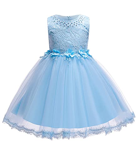 Bx2823-blue