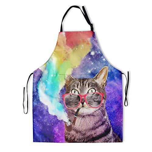 Smoking Rainbow Cat