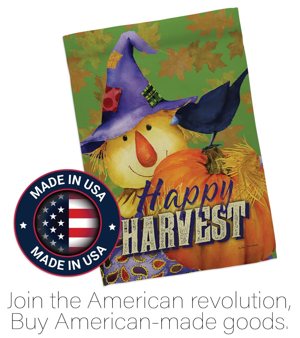 Happy Harvest Scarecrow Fall Flag Set - 28x40
