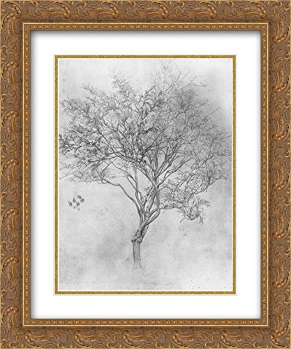 Lord Frederick Leighton Lemon Tree Art Print - 20x24 Gold Ornate Frame with Double Matting - Museum Quality Wall Decor for Living Room, Bedroom & Office