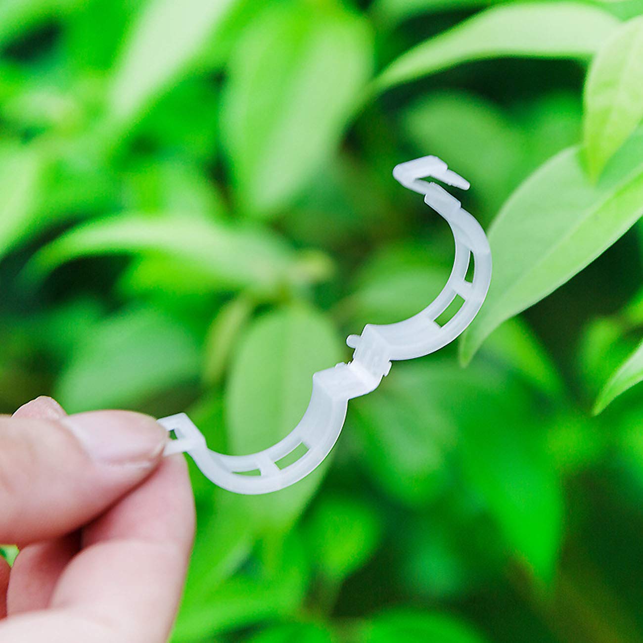 200PCS Plant Support Clips - Heavy Duty Tomato Vine Clips for Fixing Tomatoes, Peppers, Eggplants & Fruit Vegetables | Garden Plant Ties for Healthy Growth & Stronger Stems | Perfect for Greenhouse, Backyard & Indoor Gardening