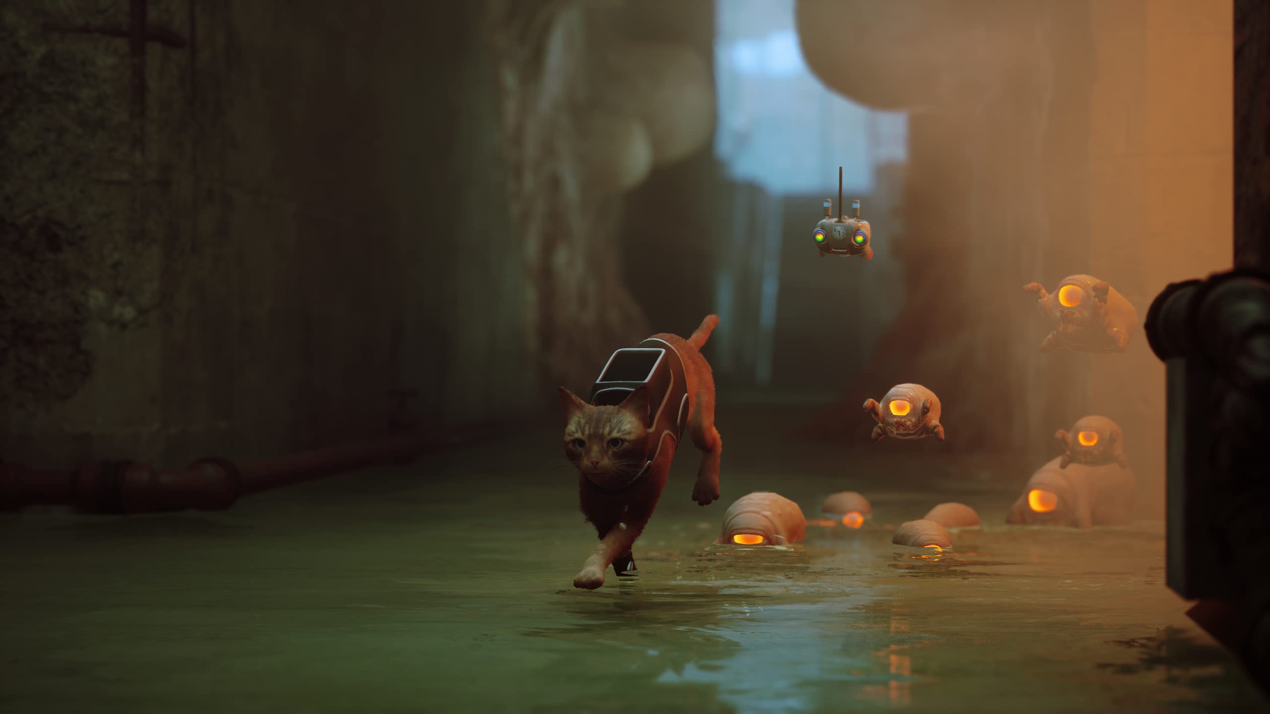 Stray - PlayStation 4 Game | Adventure Cat Simulation for PS4 | Explore Cyberpunk City as a Lost Feline | Perfect for Cat Lovers & Adventure Gamers