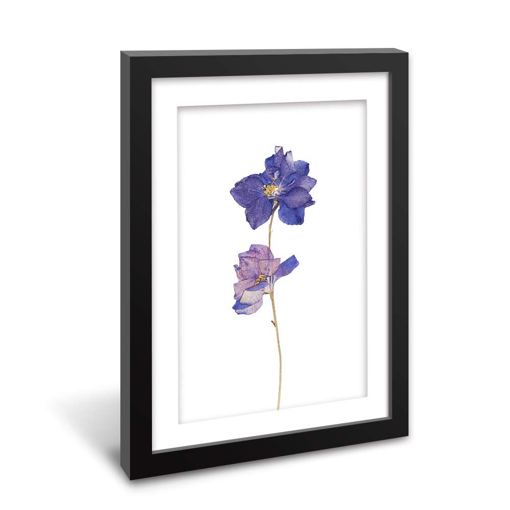 Wall26 - Framed Wall Art - Hand Drawn Purple Floral Botanical Print - Giclee Printed Canvas in Black Picture Frame with White Mat - 23x31 Inches - Perfect for Living Room, Bedroom & Office Decor